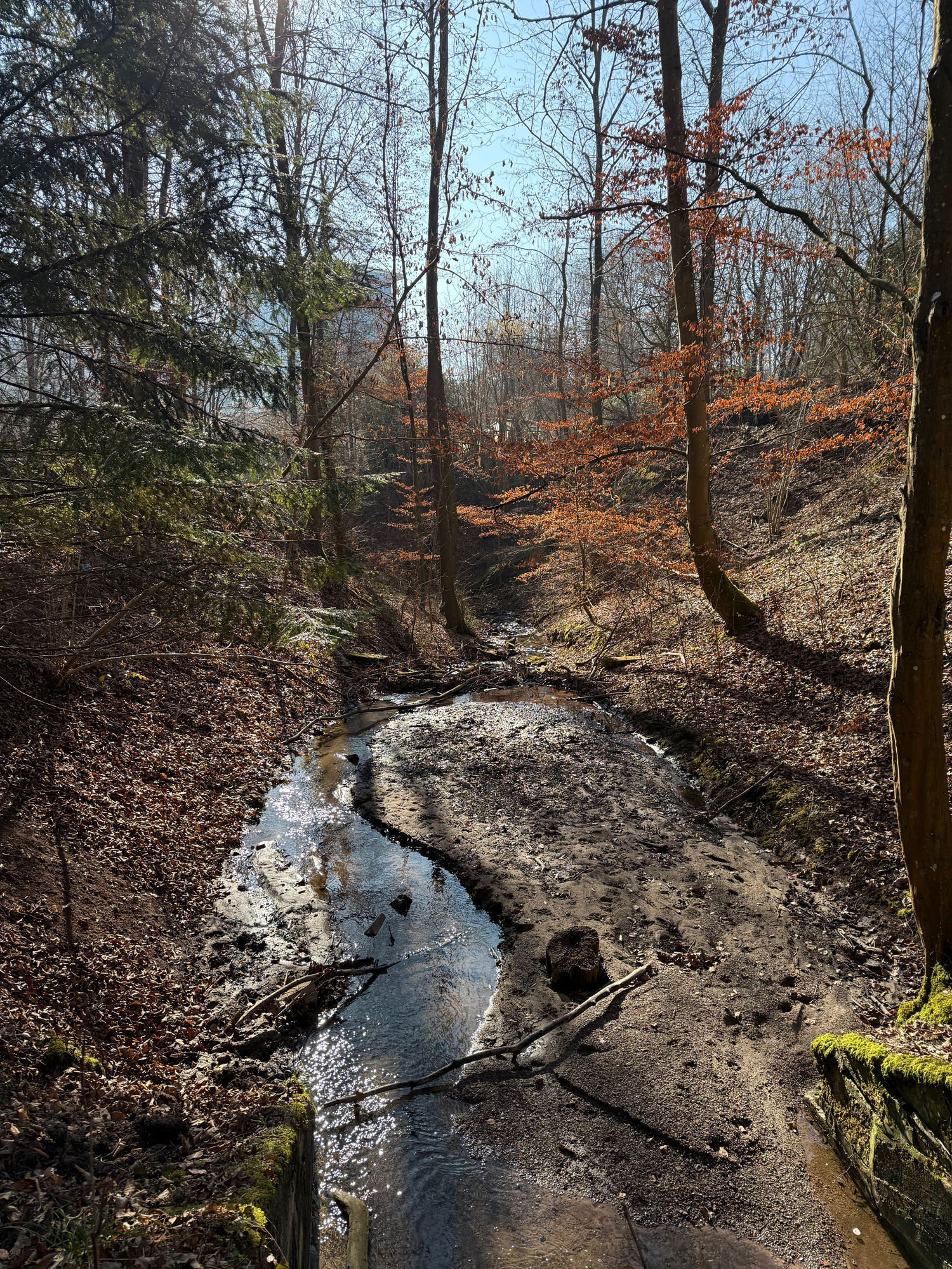 Walk & Talk Coaching in der Natur